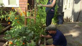 Small-Space Garden Video | HGTV