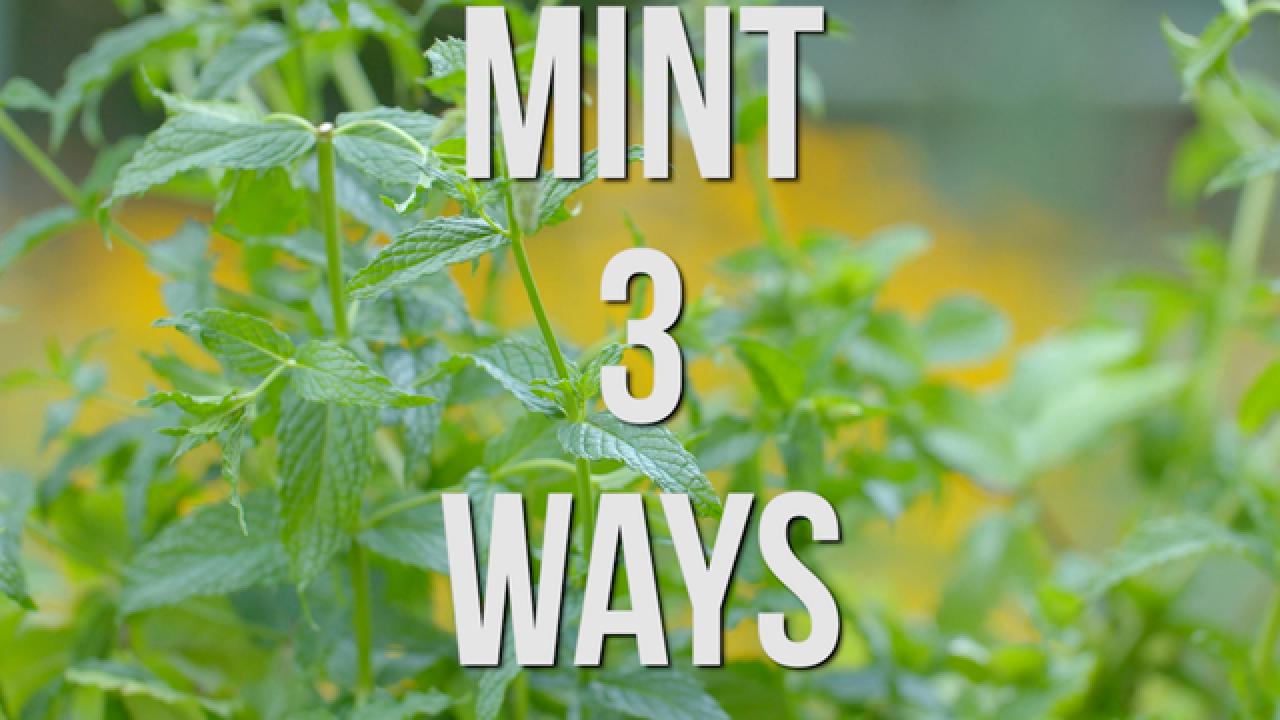 Mint 3 Ways