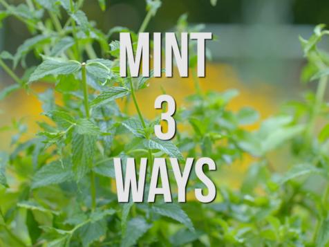 Mint 3 Ways