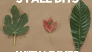 3 Fall DIYs With Leaves