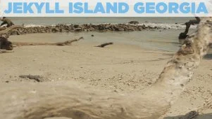 Take a Day Trip to Jekyll Island