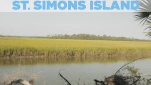 Take a Day Trip to Little St. Simons