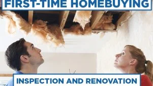 Inspection and Renovation