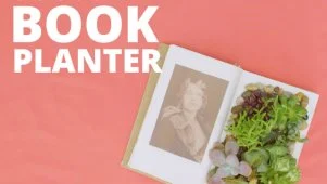 DIY Succulent Book Planter