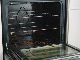 Clean Your Oven, No Chemicals Required