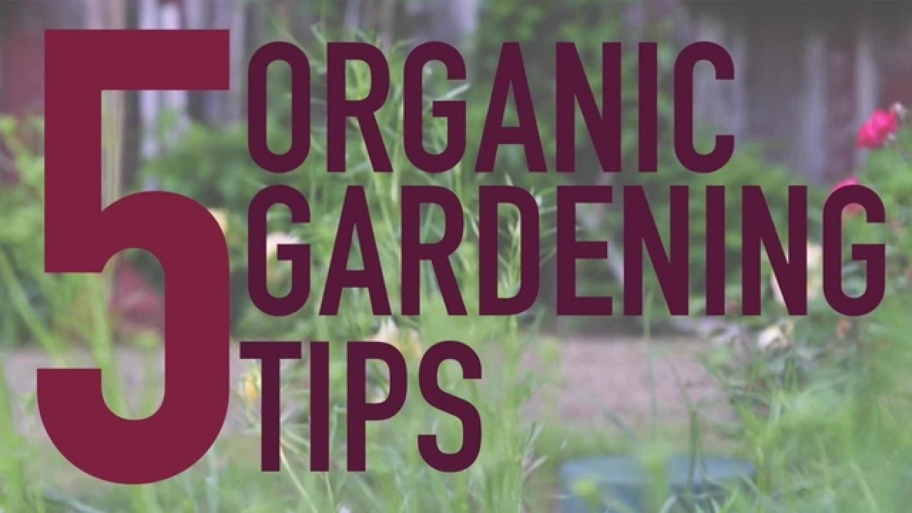 5 Organic Gardening Tips