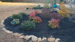 Winter Gardening Ideas and Inspiration | HGTV