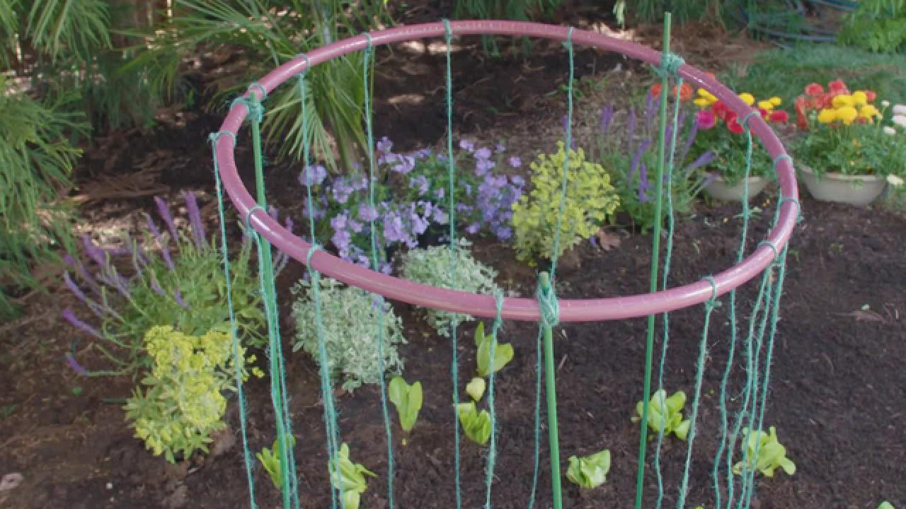 Using Hula Hoops in the Garden