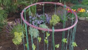 Trellis Design Ideas and Pictures | HGTV