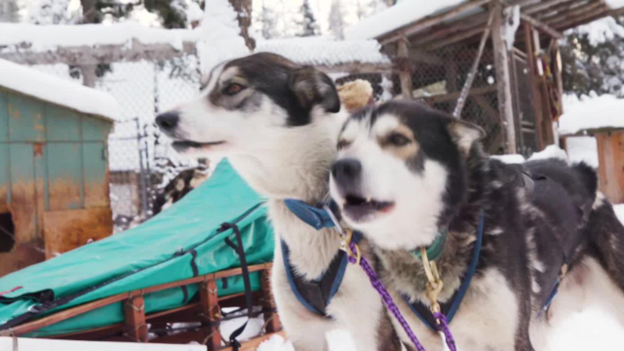 Whitefish Winter Fun