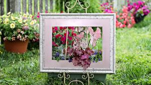 Unique Picture Frame Flower Box