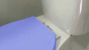 How to Replace a Toilet Seat