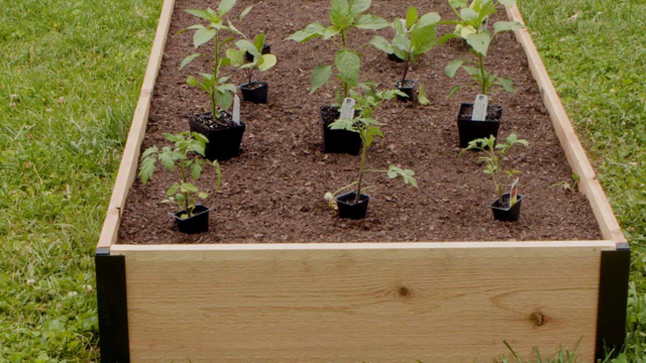 Expert Tips: How to Start Gardening With Raised Beds