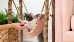 DIY Side Table Cat Hammock