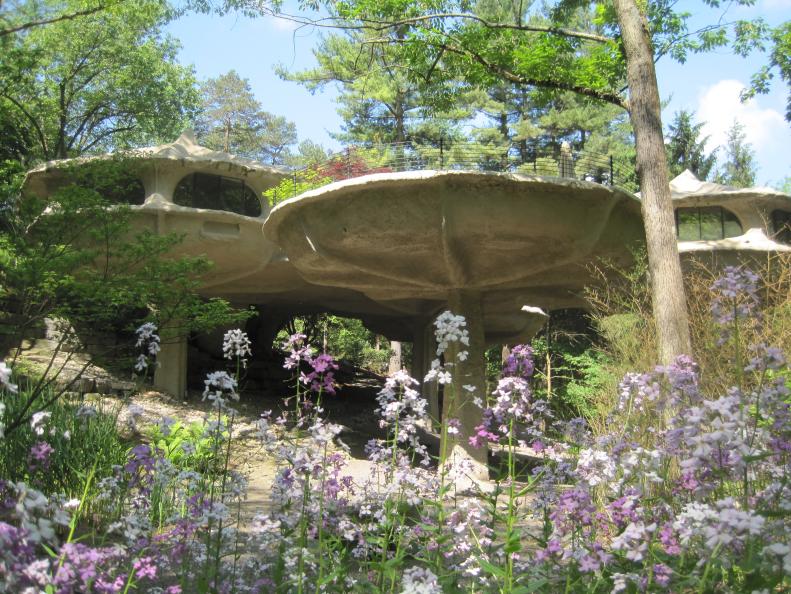 Mushroom House Surrounded by Wildflowers 