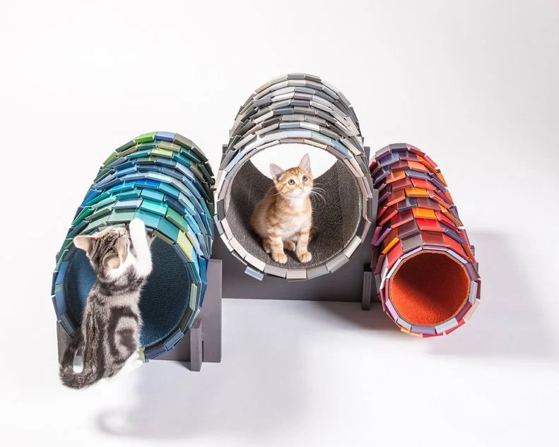 Cat House: Color Tubes by NAC Architecture