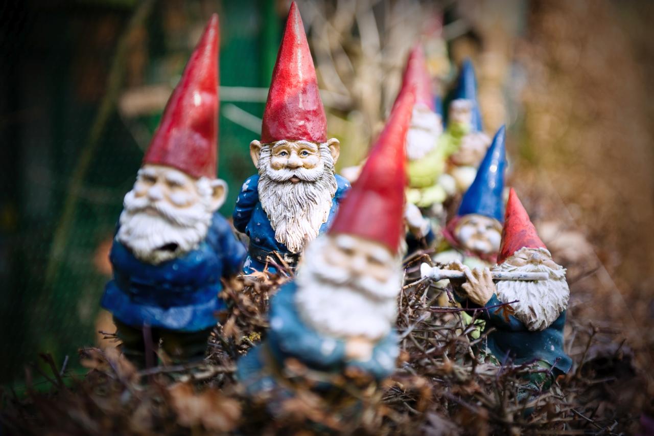 DesignForward Gnomes for Your Garden HGTV Personal Shopper HGTV