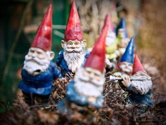 Gnomes in Yard
