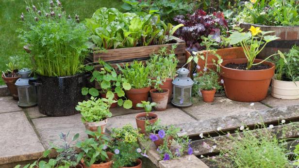 Article With Video Lead