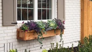 A Home for the Grandkids