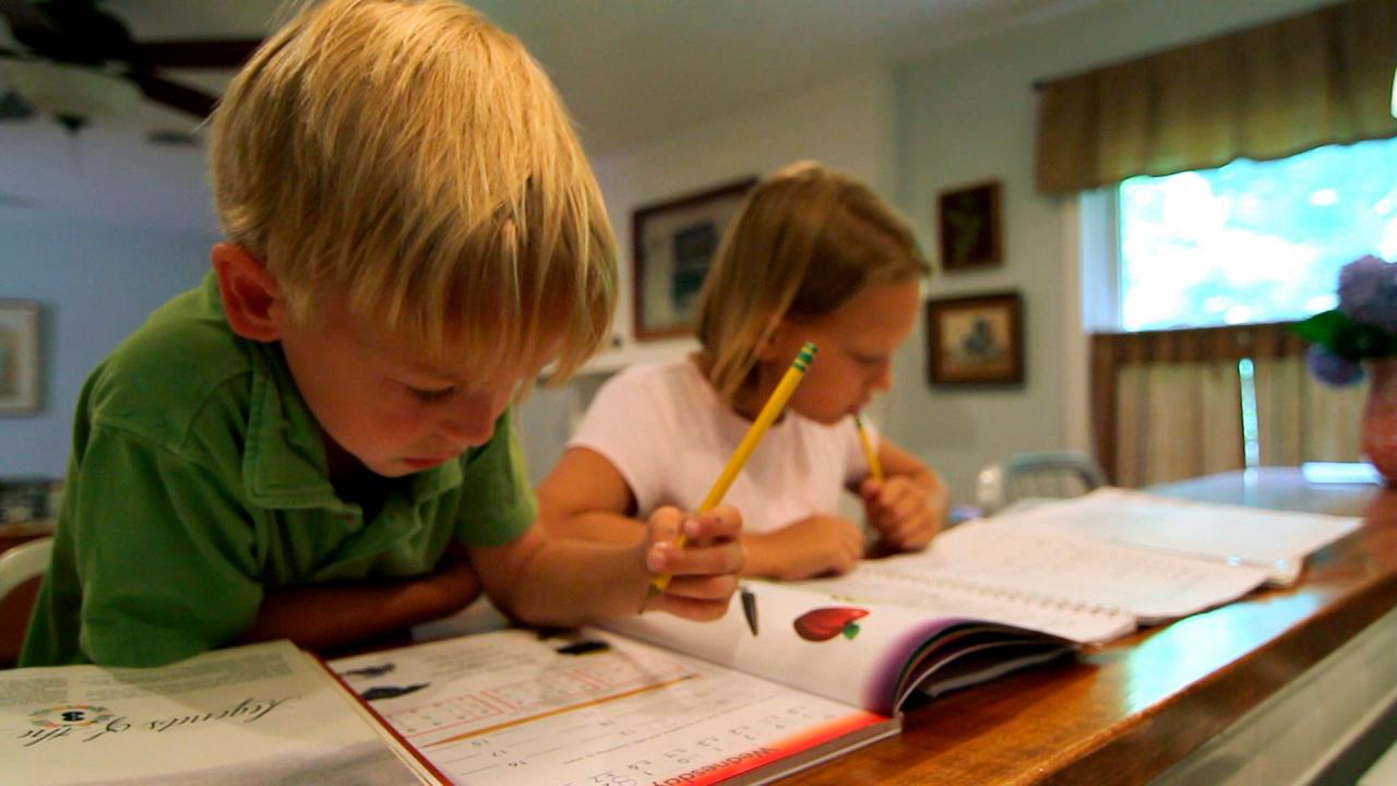 The Kitchen: Heart of the Home