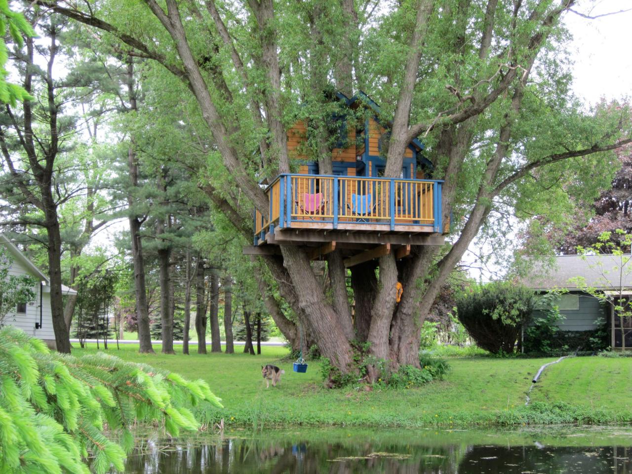 How to Build a Treehouse HGTV