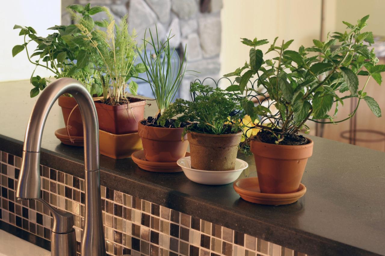 Organic Herbs Are a Smart Choice for the Home Herb Garden  HGTV