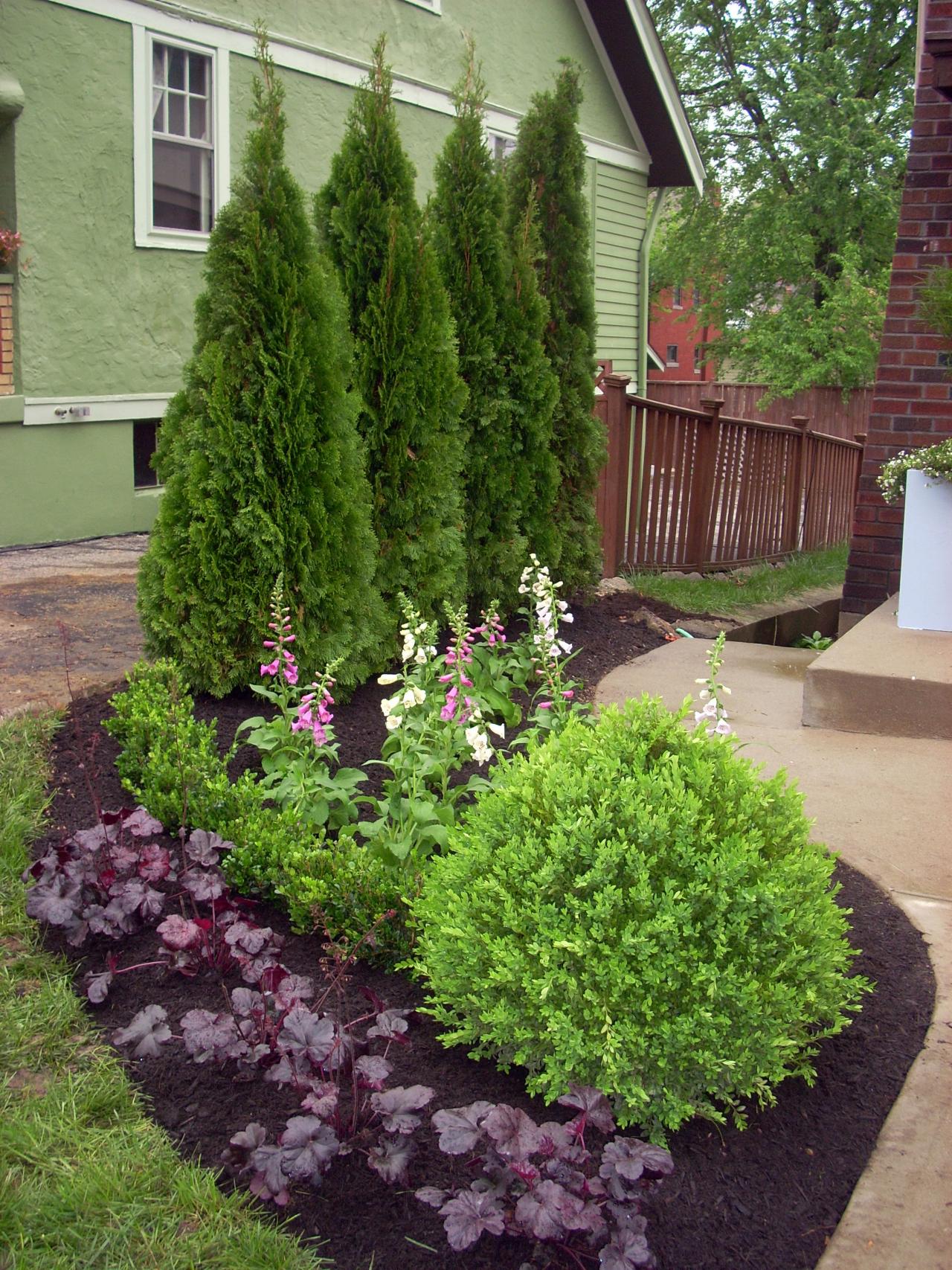 italian cypress landscape ideas