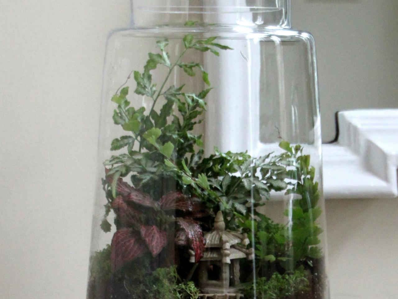 Easy Steps for Creating a Terrarium HGTV