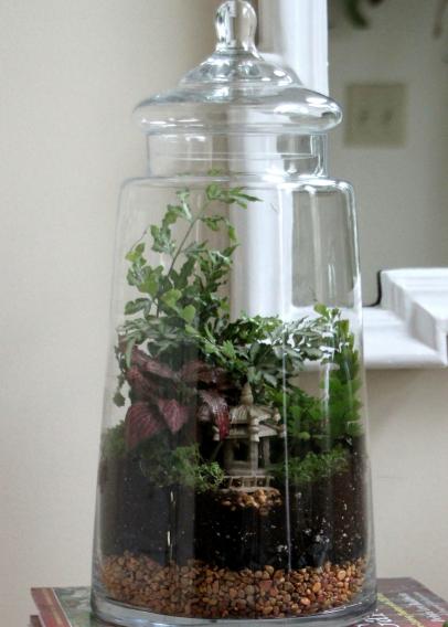 Easy Steps For Creating A Terrarium, Large Glass Terrarium Jars