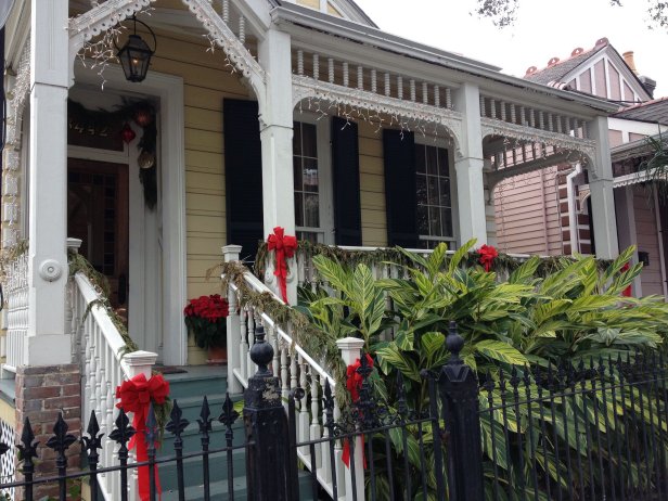 tropical canna lily plants in new orleans