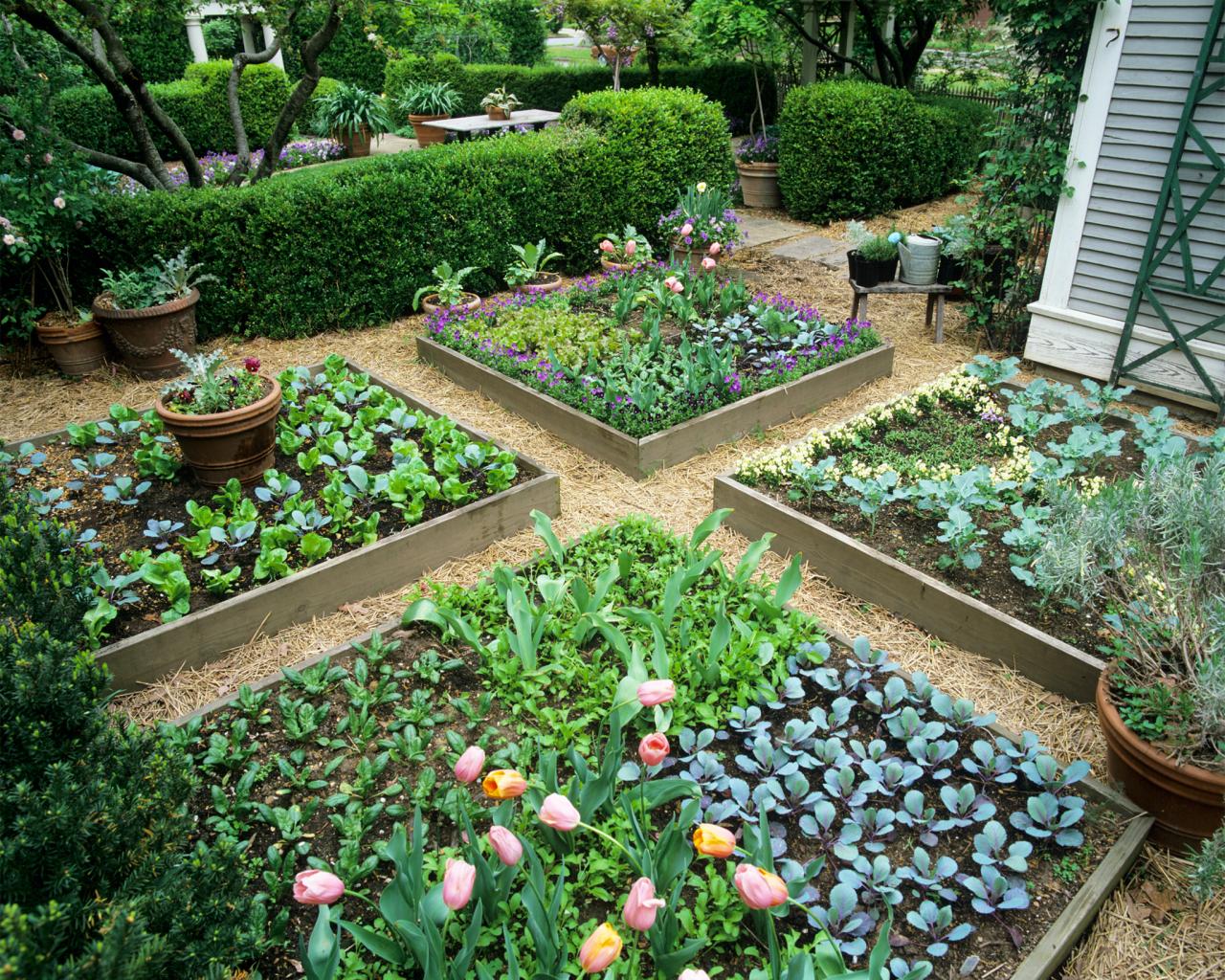 Garden Design For Small Spaces HGTV