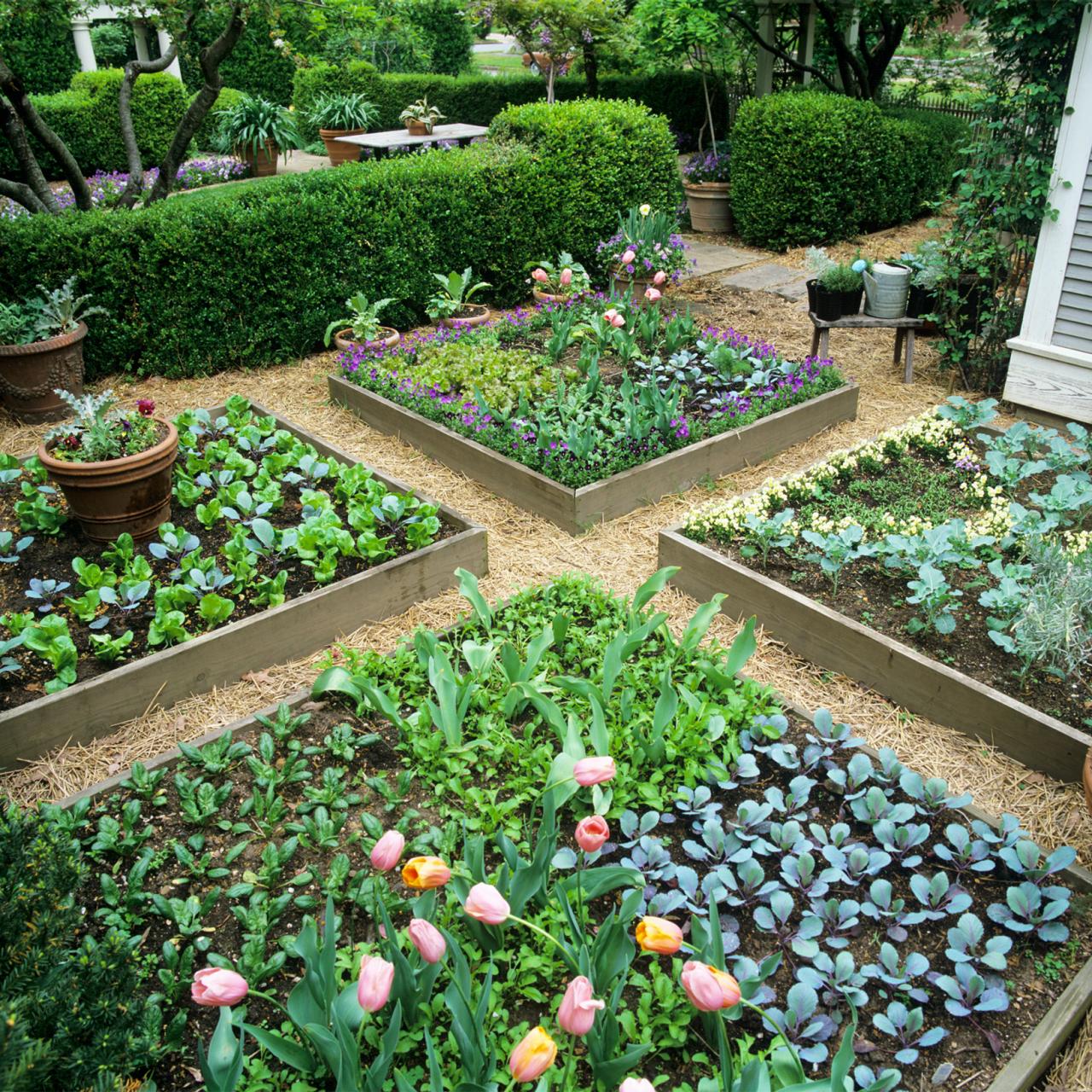 Tips for a Raised Bed Vegetable Garden