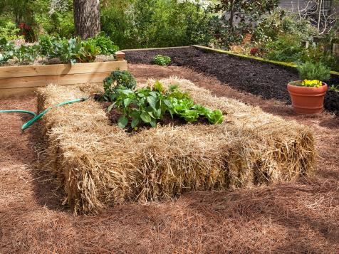 A Raised Bed Twist: Straw Bale Gardening