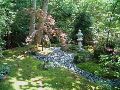 Replace Your Lawn With These Groundcovers - High Traffic Shade Tolerant Ground Cover Replace Your Lawn With These Groundcovers - High Traffic Shade Tolerant Ground Cover