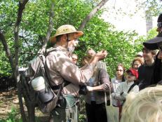 Foraging expert Steve Brill “in the field,” teaching a class in New York’s Central Park.