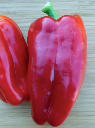 types of bell peppers