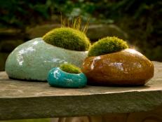 Make moss the star of your table or bookshelf with Moss Rocks!, which come with Dicranum moss already in place. Just give them a little water and some indirect light. $14.99; <a href="http://www.thegrommet.com/garden-patio/stone-gardens-by-moss-rocks" target="_blank">thegrommet.com</a>