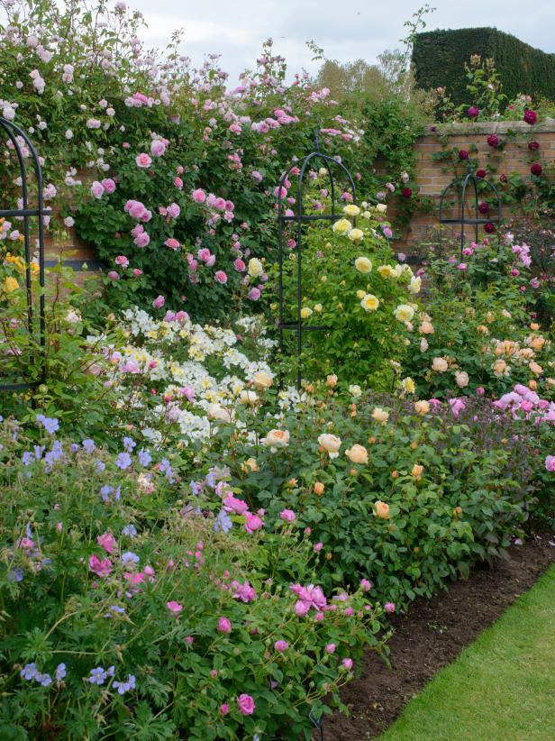Designing Beautiful Rose Beds, How To Make A Rose Garden Design