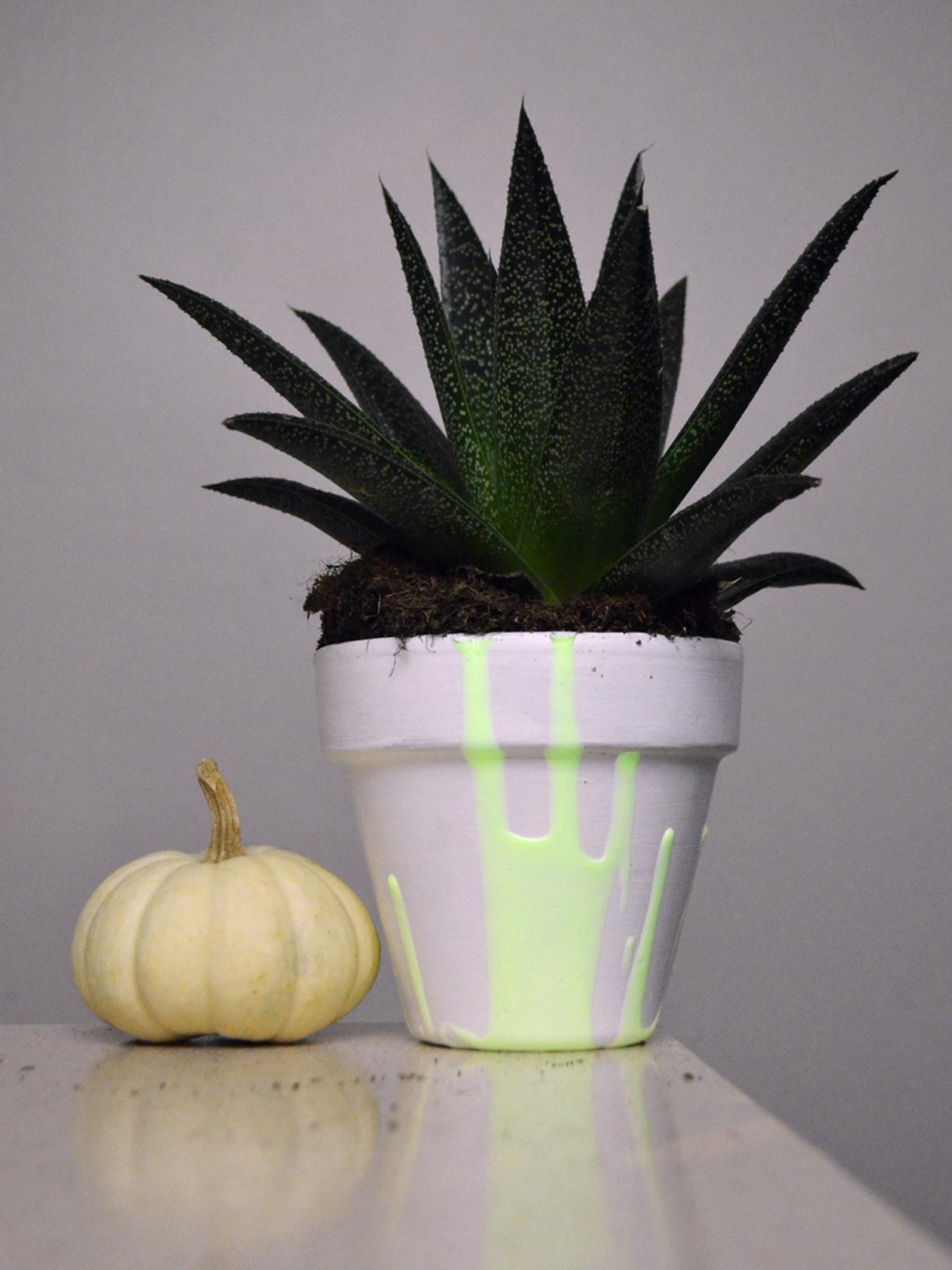 How to Make Glow in the Dark Flower Pots - Techno Glow Inc