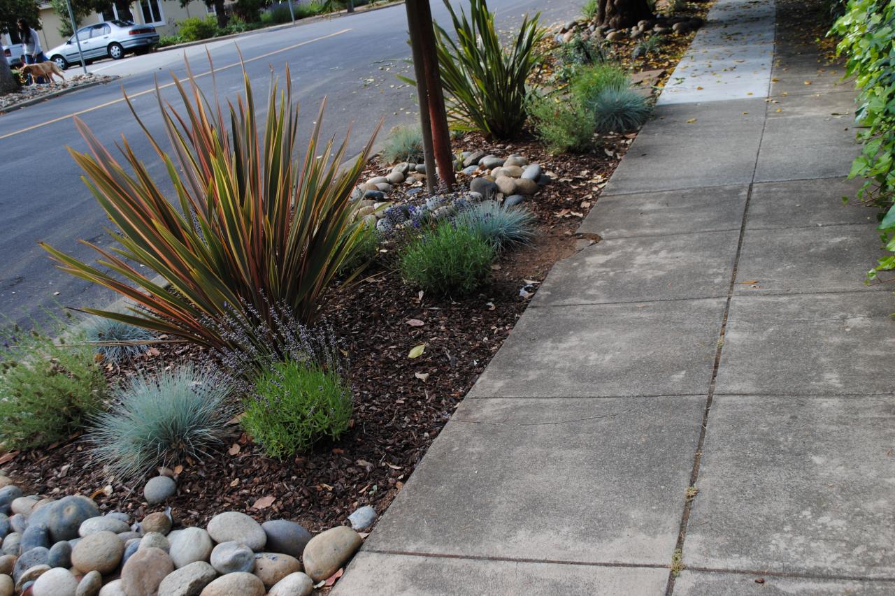 Landscaping for Sidewalks | HGTV