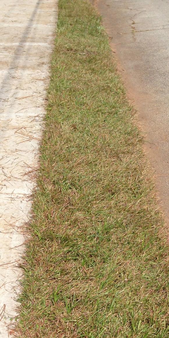 The most neglected part of many homeowners' yards is this isolated patch of turf.