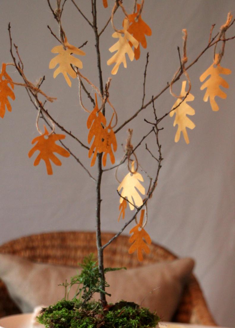 Invite guests around your Thanksgiving table to share what they are thankful for and what they would like to give to others in the upcoming year. Supply List: crafting pumpkin/knife/drill/newspaper/tree branch/scrapbooking paper/hole punch/scissors/twine/hot glue gun/markers/moss/acorns/small plants
