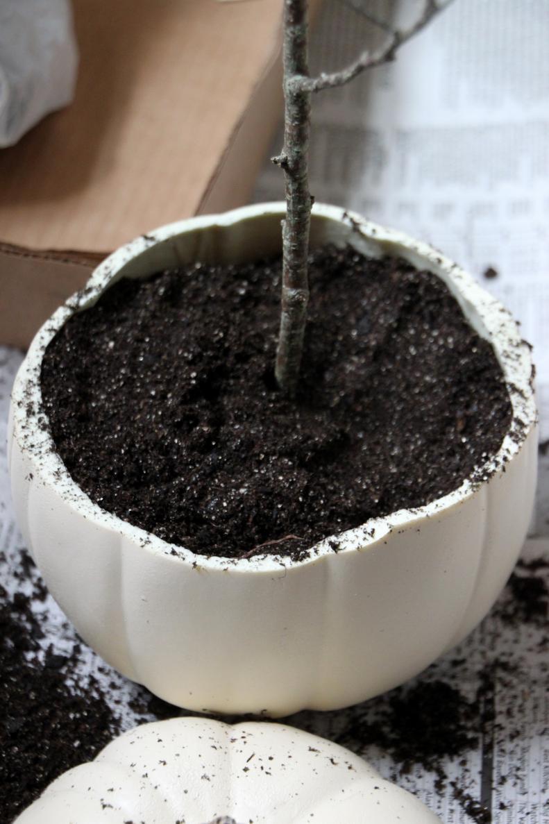 Help to stabilize the pumpkin and branch by filling your pumpkin with potting soil.