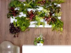 The planters in this modern, modular system are attached to the wall plates by large neodymium magnets, so you can detach, water, prune and put it right back on the wall. $175; <a href="http://www.thegrommet.com/urbio-vertical-garden-storage" target="_blank">thegrommet.com</a>