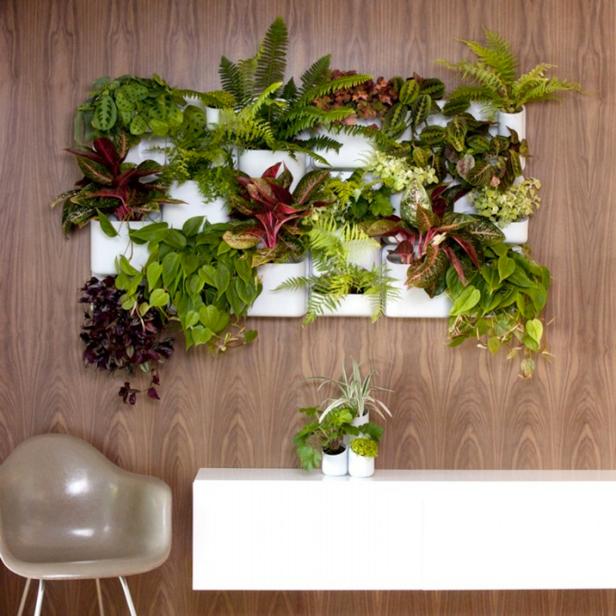 Living Walls Bring Container Gardening Indoors - Indoor Living Wall Planters