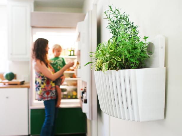 The spouts of watering cans fit easily into the holes of the Woolly Pocket. Plant an herb garden in your kitchen and snip herbs right off the wall. $26.99; <a href="http://www.woollypocket.com/living-wall-planters/woolly-living-wall-planter/" target="_blank">woollypocket.com</a>