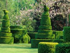 One of the more iconic sights at Longwood Gardens, which is located 30 miles from Philadelphia. After Pierre Du Pont purchased the property in 1906, he established a magnificent topiary garden of yews clipped into geometric forms and animal shapes. Today there are more than fifty of them.&nbsp;