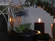 Add plant tags with the Latin genus and species names to your succulents or other plants you choose for your Halloween tablescape. They can be great conversation starters.