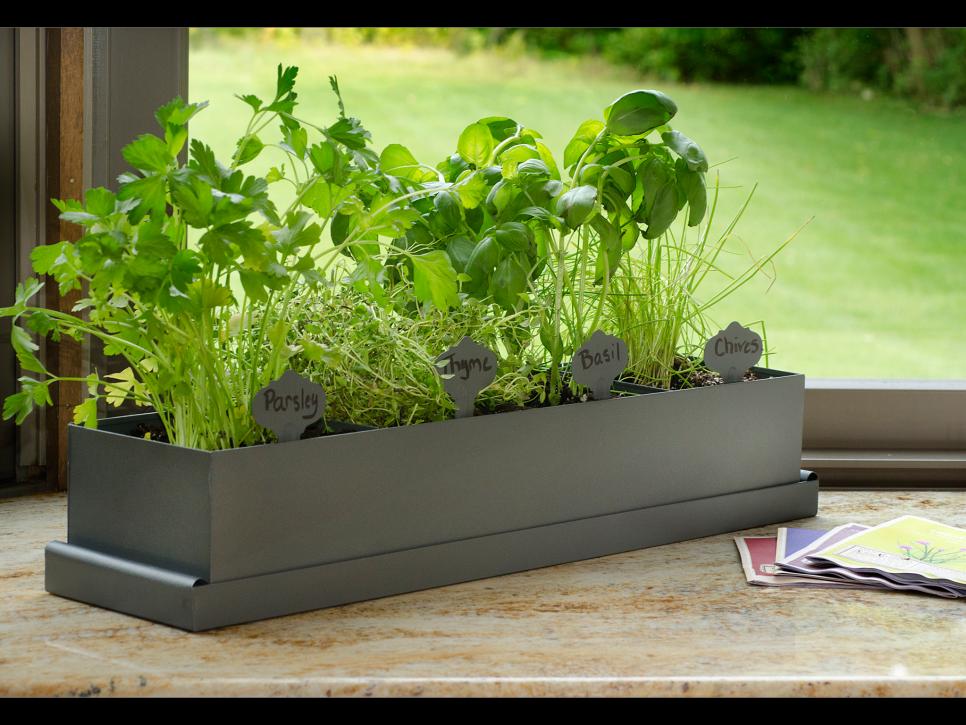 Indoor Herb Garden - Kits to Grow Herbs Indoors | HGTV